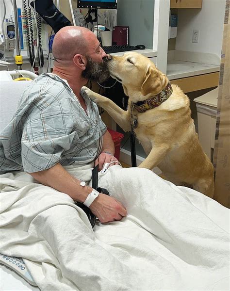 brian benson and magnus|Magnus The Therapy Dog .